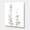 Designart - Beige Eucalyptus Branches On White - Traditional Canvas Wall Art Print
